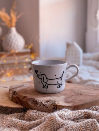 🐾 Jezevčíci jsou letos malý fenomén. Stačí se rozhlédnout - jsou na oblečení, na doplňcích, v dekoracích.. na ulici 🤭. Je...